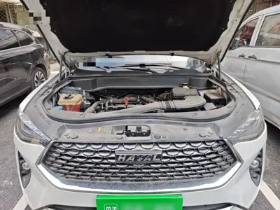 Haval F7 2020, 41000 км, за 54200 CNY - фото 11