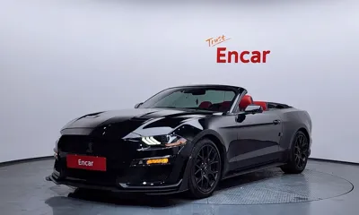 Ford Mustang · 2019 год