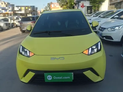 BYD Seagull 2024, 42100 км, за 62685.28 CNY