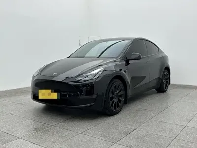 Tesla Model Y · 2022 год