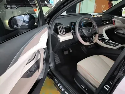 BYD Pro New Energy 2024, 24100 км, за 69000 CNY - фото 16
