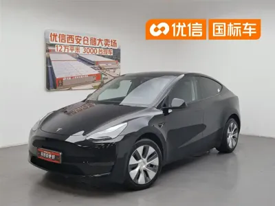Tesla Model Y · 2023 год