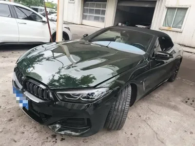 BMW 8 Series · 2023 год