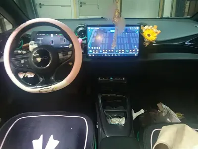 BYD Dolphin 2025, 24900 км, за 78000 CNY - фото 12