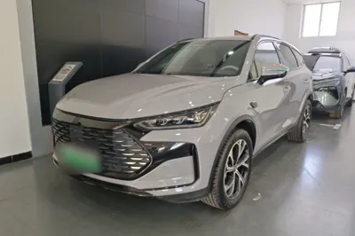 BYD Tang New Energy · 2025 год