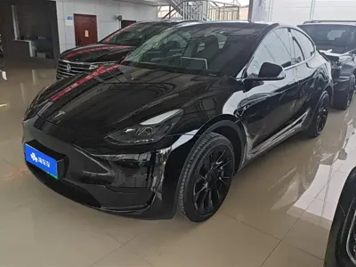 Tesla Model Y · 2023 год
