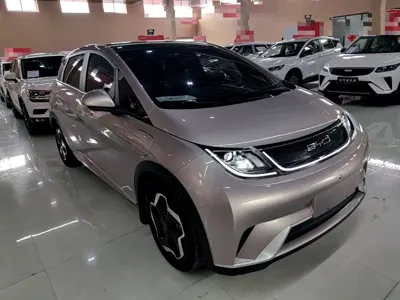BYD Dolphin 2023, 53400 км, за 59100 CNY