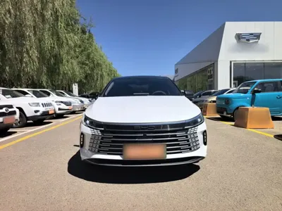 BYD Destroyer 05 2024, 58200 км, за 49200 CNY - фото 3