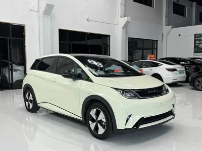 BYD Dolphin 2023, 50000 км, за 61800 CNY