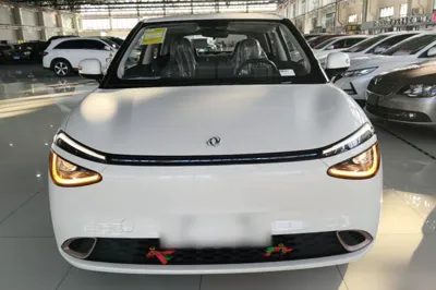 Dongfeng NAMMI 01 2026, 100 км, за 73882.55 CNY