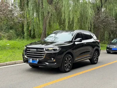 Haval H6 · 2022 год