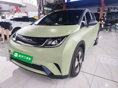 BYD Dolphin · 2023 год