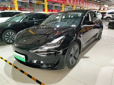 Tesla Model 3 · 2021 год