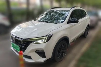 Roewe RX5 New Energy · 2020 год