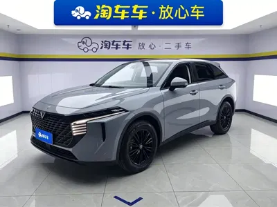 Venucia V · 2023 год
