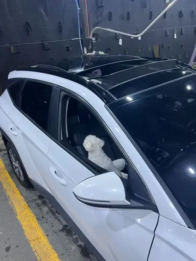 Hyundai Tucson 2021, 36000 км, за 23500000 KRW - фото 4