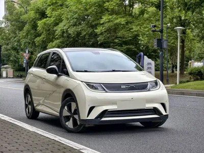 BYD Dolphin · 2023 год