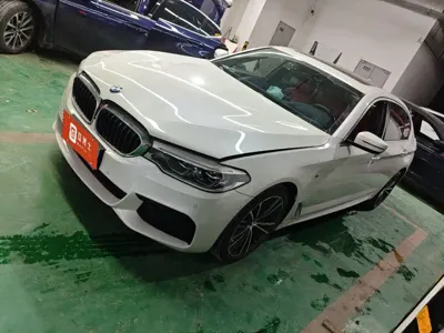 BMW 5 Series · 2019 год