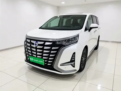 Denza Denza D9 · 2023 год