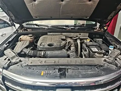 Roewe RX8 2021, 52500 км, за 61300 CNY - фото 20