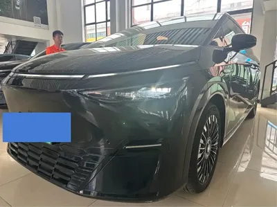 Xpeng X9 · 2025 год