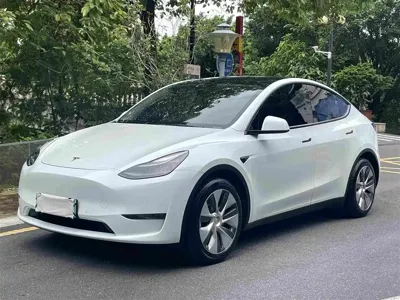 Tesla Model Y · 2021 год