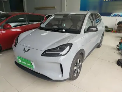 Wuling Bingo PLUS · 2024 год