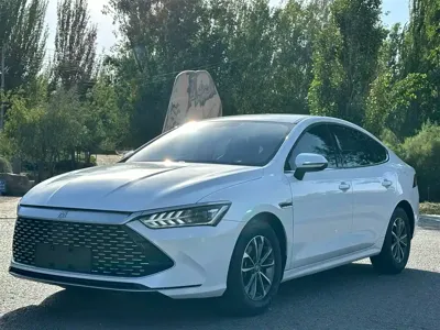 BYD Qin Plus · 2023 год