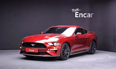 Ford Mustang · 2019 год