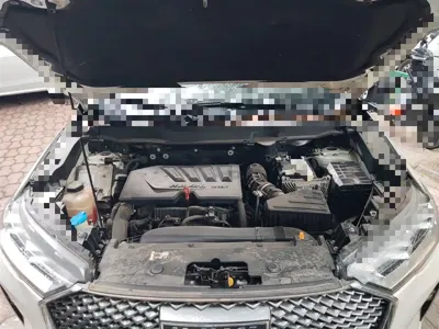 Haval H6 2021, 92200 км, за 51100 CNY - фото 16