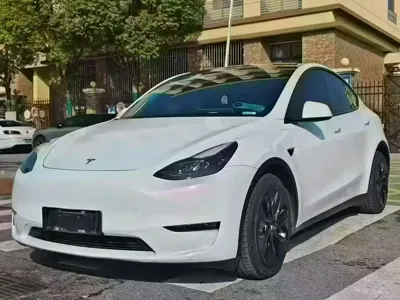 Tesla Model Y · 2021 год
