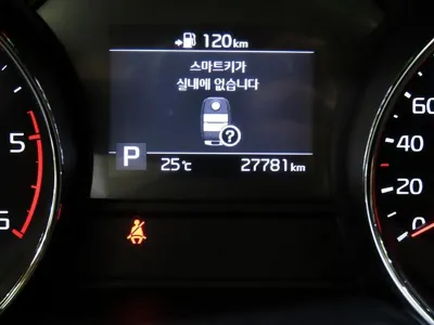 Kia Canival 2019, 27773 км, за 17900000 KRW - фото 9