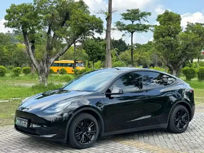 Tesla Model Y · 2023 год