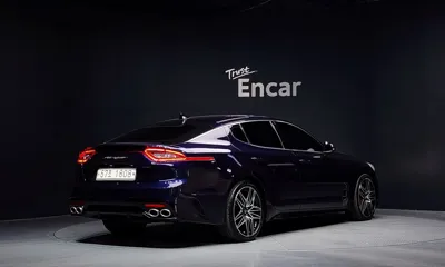 Kia Stinger 2019, 146973 км, за 12490000 KRW