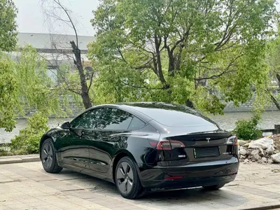 Tesla Model 3 2023, 99000 км, за 119800 CNY