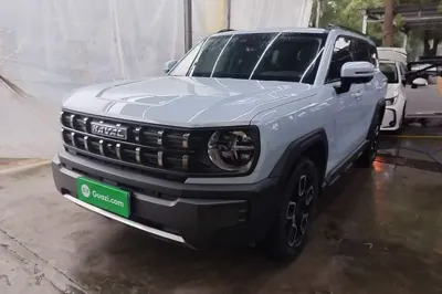 Haval X DOG · 2022 год