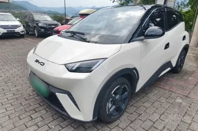 BYD Seagull · 2023 год