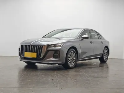 Hongqi Hongqi H5 · 2023 год