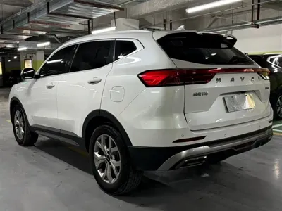 Haval H6 2023, 49000 км, за 78800 CNY - фото 6