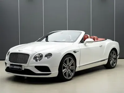 Bentley Continental · 2019 год