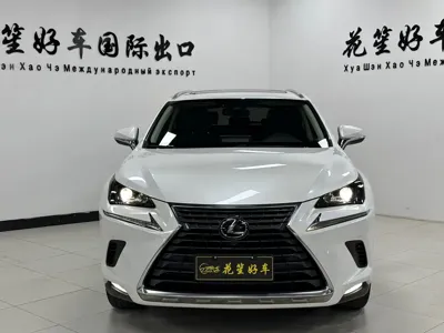 Lexus NX 2020, 69000 км, за 173800 CNY