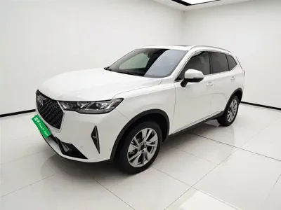 Haval H6 · 2021 год