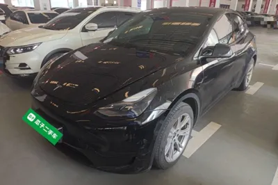 Tesla Model Y · 2022 год