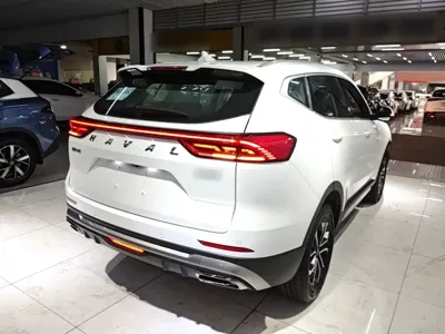 Haval H6 2024, 20200 км, за 67300 CNY - фото 7