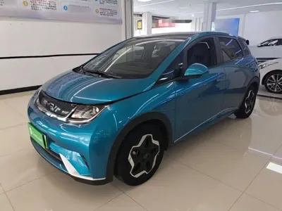BYD Dolphin · 2023 год