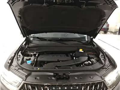 Haval H6 2024, 21600 км, за 69200 CNY - фото 20