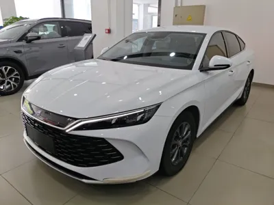 BYD Qin L · 2024 год