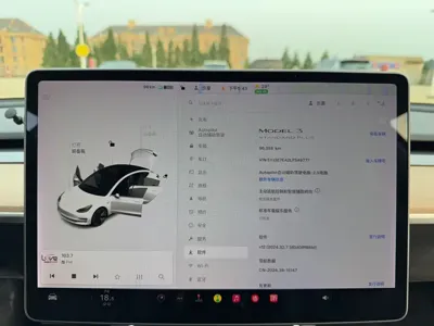 Tesla Model 3 2019, 96000 км, за 89800 CNY - фото 9