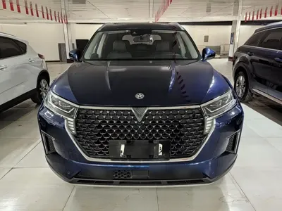 Venucia Star 2021, 47500 км, за 53800 CNY