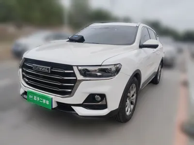 Haval H6 · 2021 год